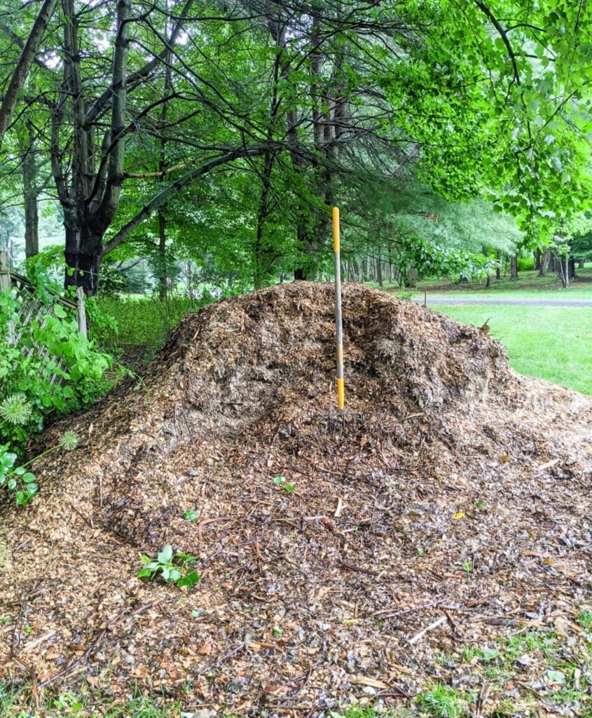 No More Junk providing yard waste and brush removal services in Clearwater, Fl after an outdoor property cleanup