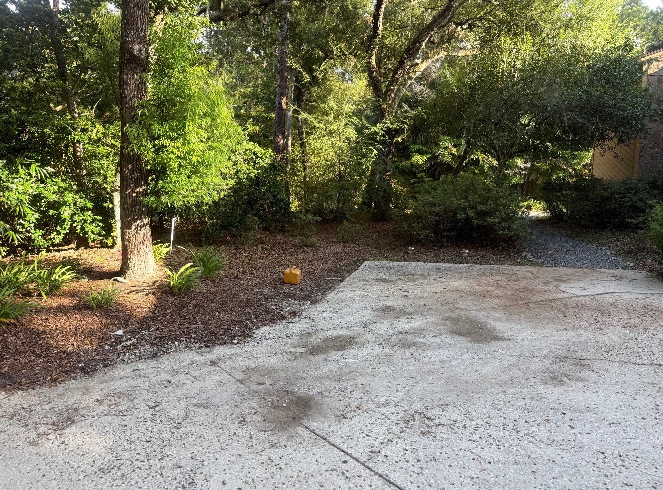 Real residential junk removal and estate cleanout project in East Lake FL