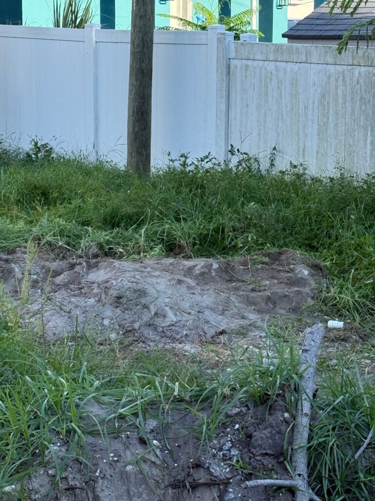 Yard area after the pile of pavers and masonry was removed in Trinity