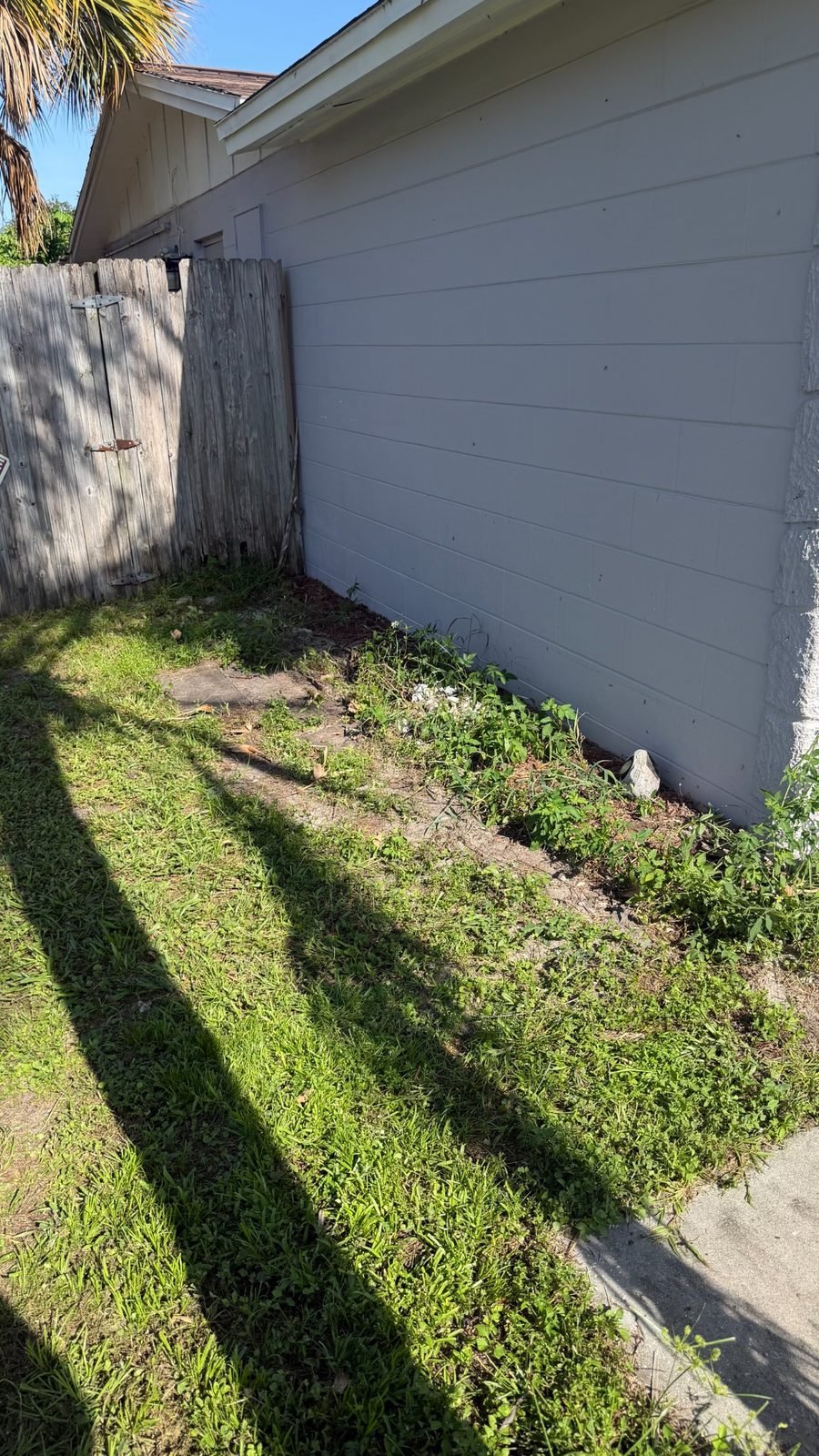 Cleared side yard after junk removal in Trinity, FL